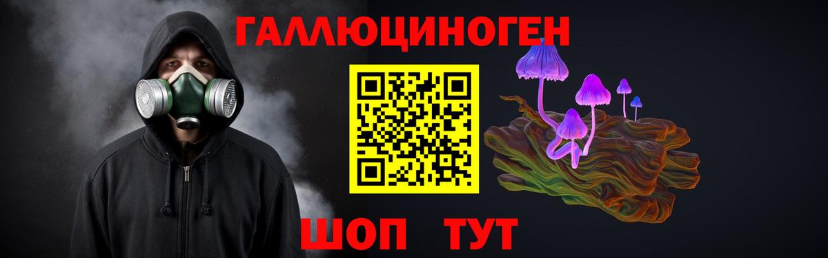 Псилоцибиновые грибы MAGIC MUSHROOMS  Псилоцибиновые грибы прущие грибы  Вход с VPN  Обь 